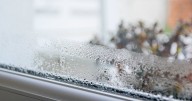 Condensation will 'stop' forming overnight with 50p ingredient you have at home