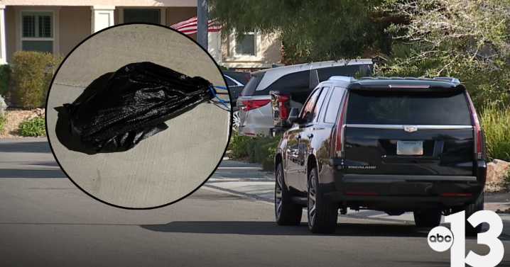 Dog death sparks animal cruelty investigation in Henderson neighborhood