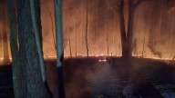 Virginia Beach firefighters tackle brush fire