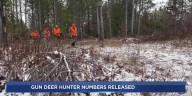 DNR announces preliminary deer harvest and license sales totals for opening weekend