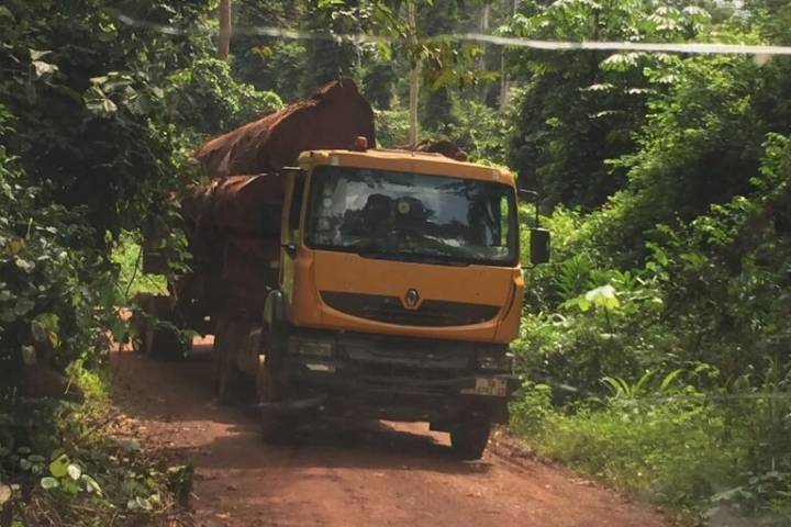 As Ghana ships first ‘gold standard’ timber to EU, questions about FLEGT’s future remain (commentary)