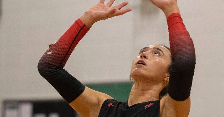 Three Sauk Valley Skyhawks earn all-region – Shaw Local