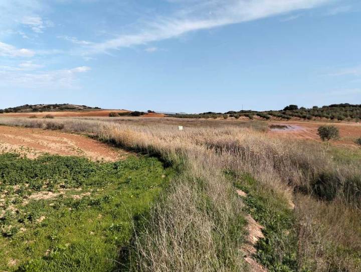 La Junta adquiere terrenos en la Laguna de Camuñas para impulsar su restauración ambiental