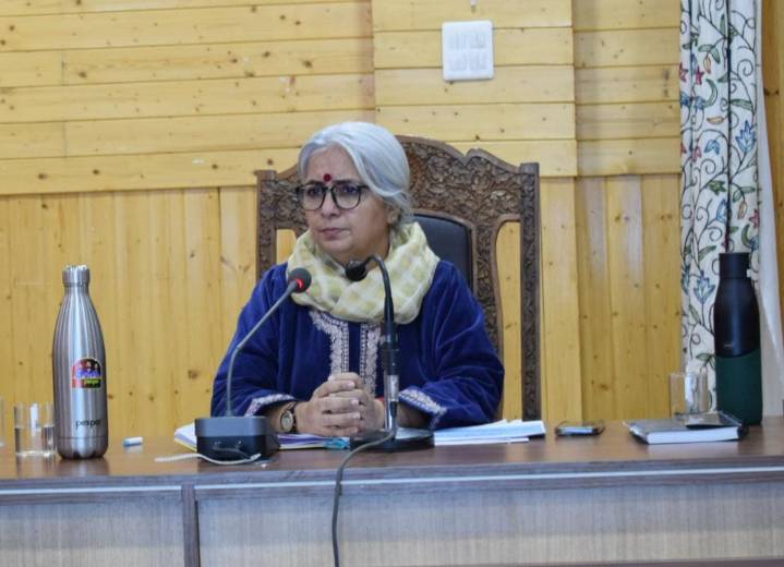DC Bandipora Chairs DLIC Meeting, Approves 67 Cases Under Mission YUVA