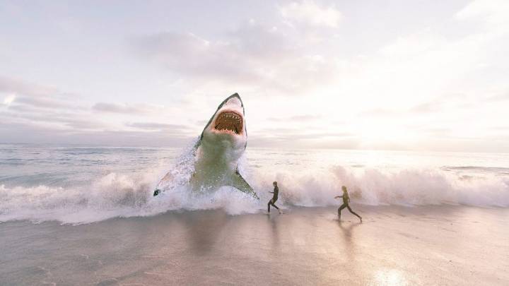 Discovery Channel's Documentary on 'Pacifist Sharks' is 'Most Boring' Program Ever Aired During Shark Week