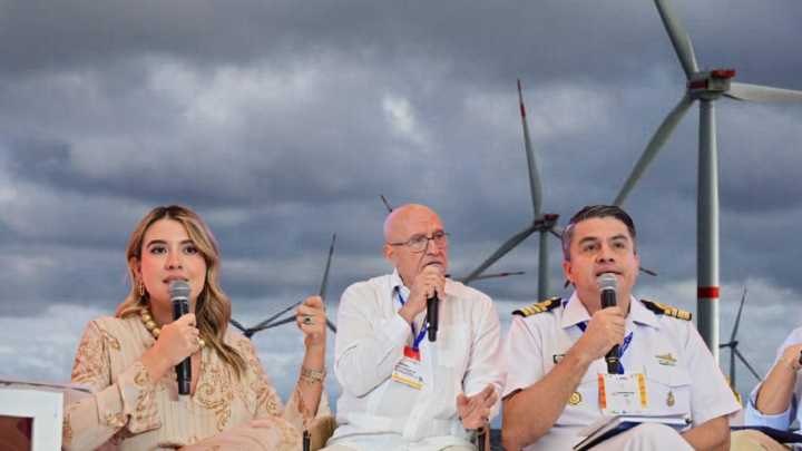 Los retos que debe superar Colombia para evitar que el primer parque eólico marino de América Latina naufrague y se repita la historia de La Guajira