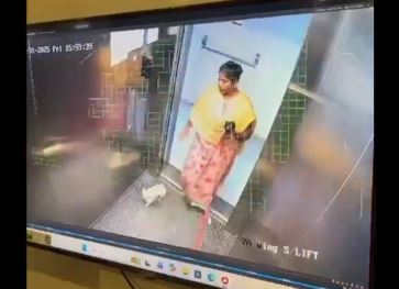 Watch: Woman vents anger on dog, kills it in lift
