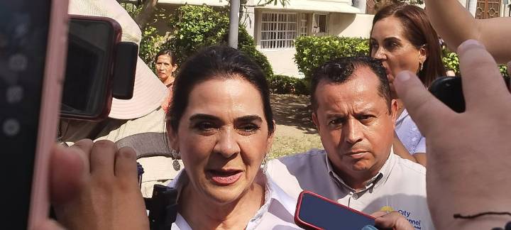 Analiza Tampico Concesionar Alumbrado Público