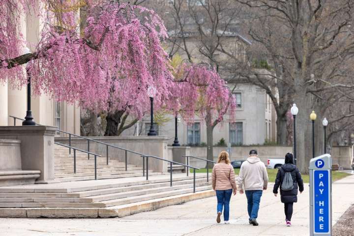 Opinion: Fearing Trump, universities themselves restrict academic freedom