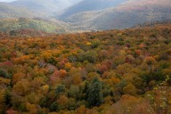 Rangers twice rescue unprepared New Jersey hikers lost in Catskills