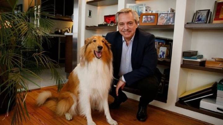 Murió Dylan, el perro de Alberto Fernández: el emotivo adiós del expresidente