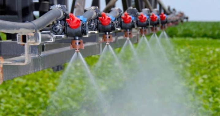 El Gobierno de Javier Milei actualizó la regulación de productos fitosanitarios: «Admitirá ágilmente la importación»