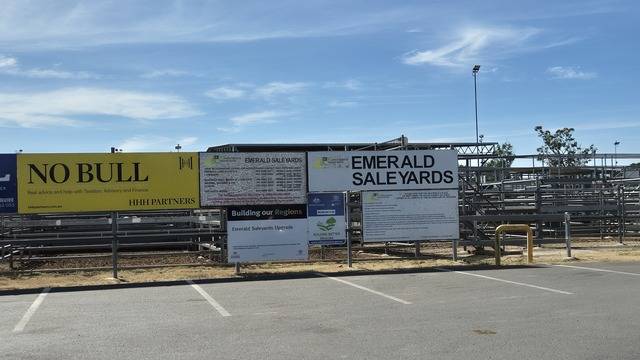 Yarding down but store prices up