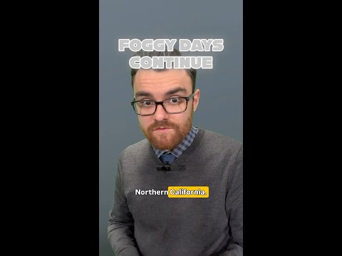 Foggy Days Continue