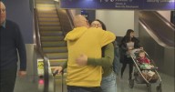 Families reunite at LAX for Thanksgiving