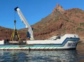 Continua el Sistema Arrecifal Artificial Sonorense