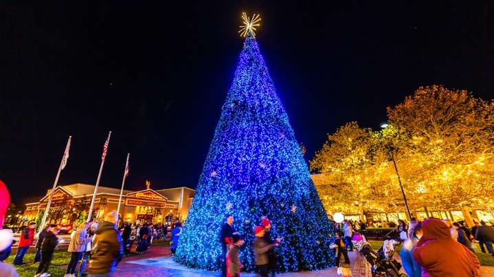 Ohio Holiday Lights Trail: Here's your guide to the best light shows in the state