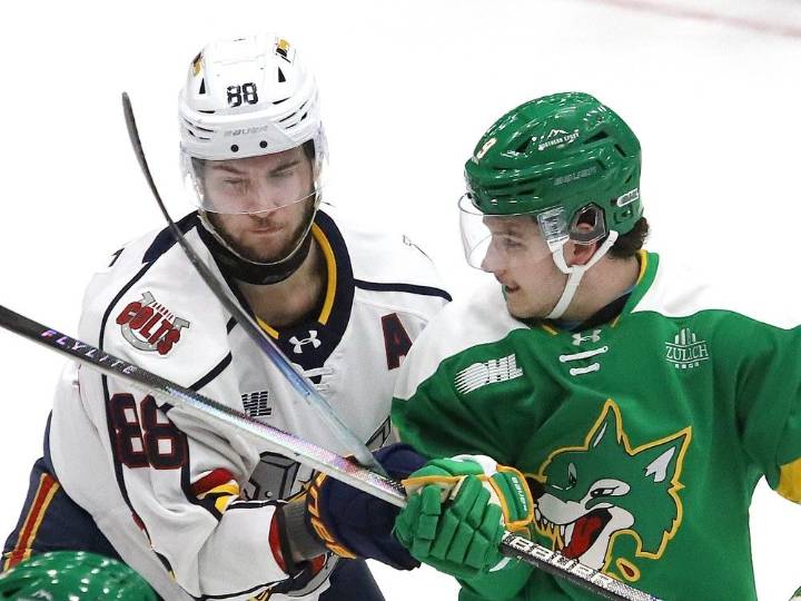 Sudbury Wolves vs. Barrie Colts: OHL live blog tonight