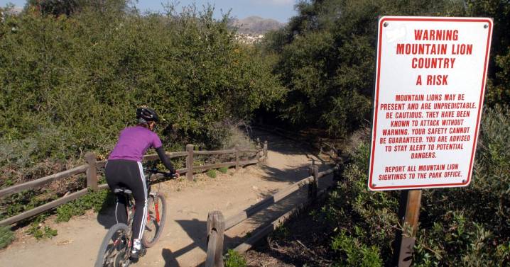Mountain lion sightings prompt closure of Orange County park