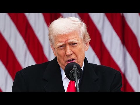 Political strategists sound off on Ukraine peace proposal, ACA subsidy extensions