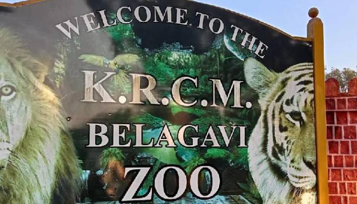 K’taka Blackbuck Death Toll Rises To 29; Initial Probe Points To Bacterial Infection