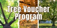 Paducah parks to accept applications for tree voucher program