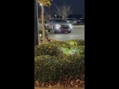 Black Friday shopping