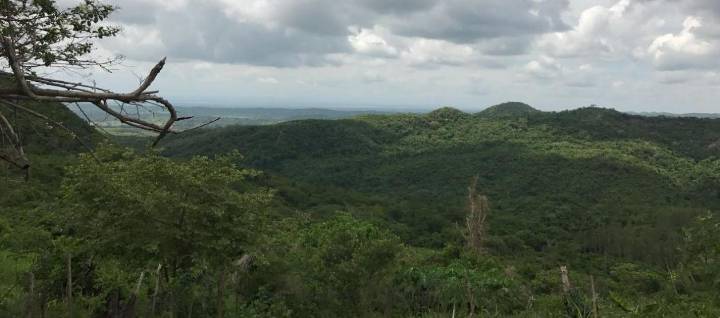 Ocad nacional aprobó programa en Atlántico, del que la CGR identificó presuntos hallazgos