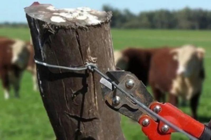 Condena por abigeato: robó y mató a animales en varios campos y lo condenaron a 4 años y medio de prisión