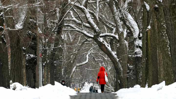 Pronóstico de Thanksgiving 2025: las ciudades de Estados Unidos donde nevará