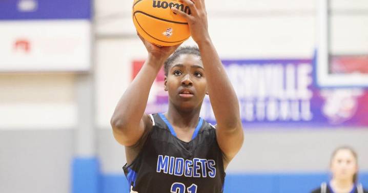 Freeburg comes up short against defending state champion Nashville in NIT final