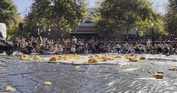 Learning takes a fun fall at Chico State’s annual Pumpkin Drop event