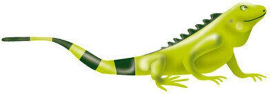 Decision of the Board of Directors of Ecopetrol S.A.