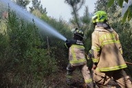Decretan alerta roja para comuna de la Región de O'Higgins por incendio forestal