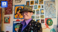 Adelaide artist Peter 'Jungle' Phillips dies aged 69 in his gallery home