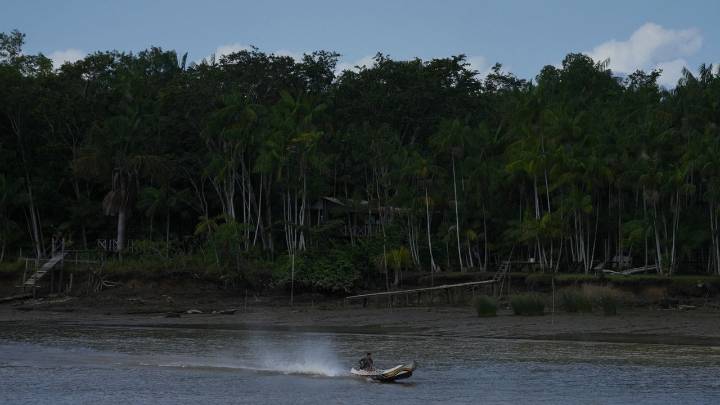 Railway project in the Amazon raises questions over Brazil's efforts to stop deforestation