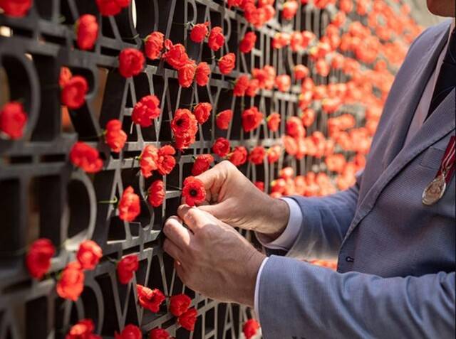 Paying tribute on Remembrance Day - Ipswich West Moreton Today