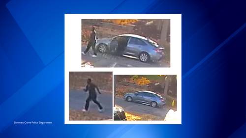 Downers Grove news: Police department looking for man who allegedly grabbed jogging woman in 5400
