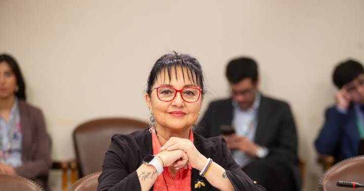 Diputada Carolina Marzán (PPD): “Tenemos que impedir, bajo toda circunstancia, retrocesos en beneficios sociales”