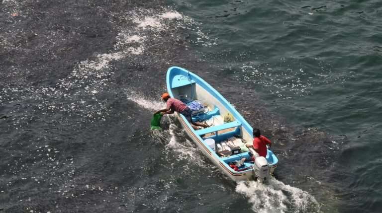 Pescadores mexicanos temen salir a trabajar tras ataques de EEUU en el Pacífico