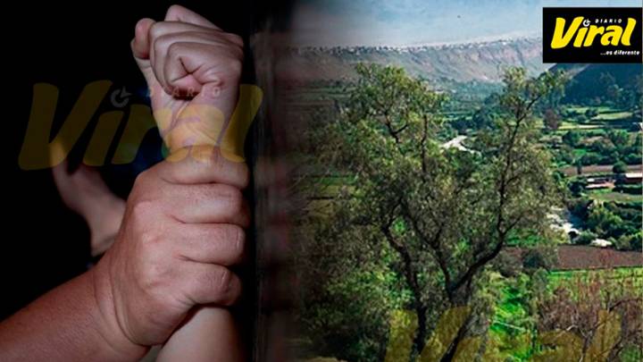 ‘Amigos’ ultrajan a joven en Cayma