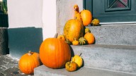 How Weather Wrecks Your Pumpkins Every Fall
