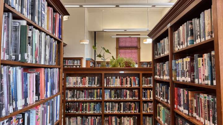 Commission postpones vote to change public library standards