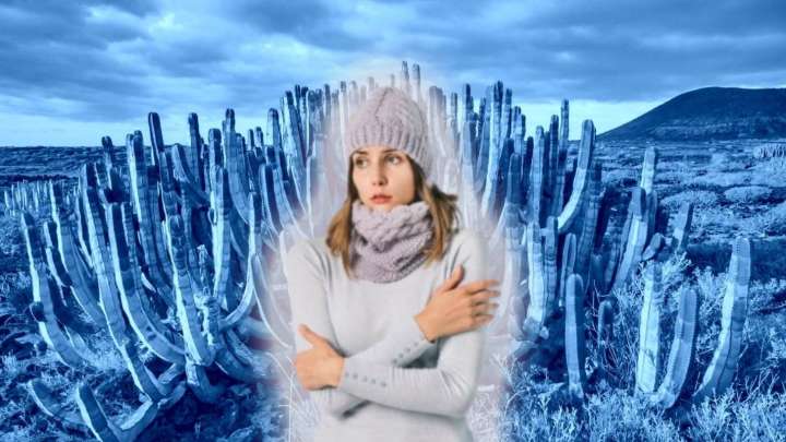 Pronóstico del clima en Sonora: ¿qué tanto frío hará este miércoles 26 de noviembre?