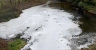 More foam appears in River Gipping at Great Blakenham