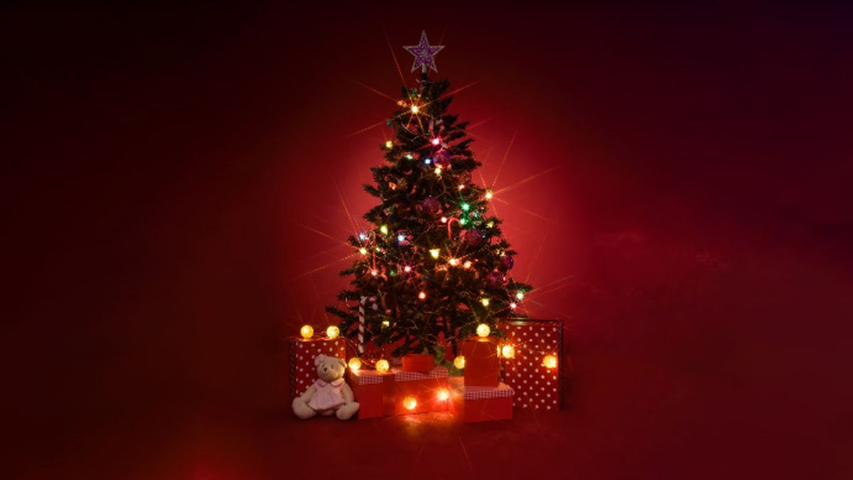 Feng Shui: en qué lugar de casa hay que poner el árbol de Navidad para atraer prosperidad