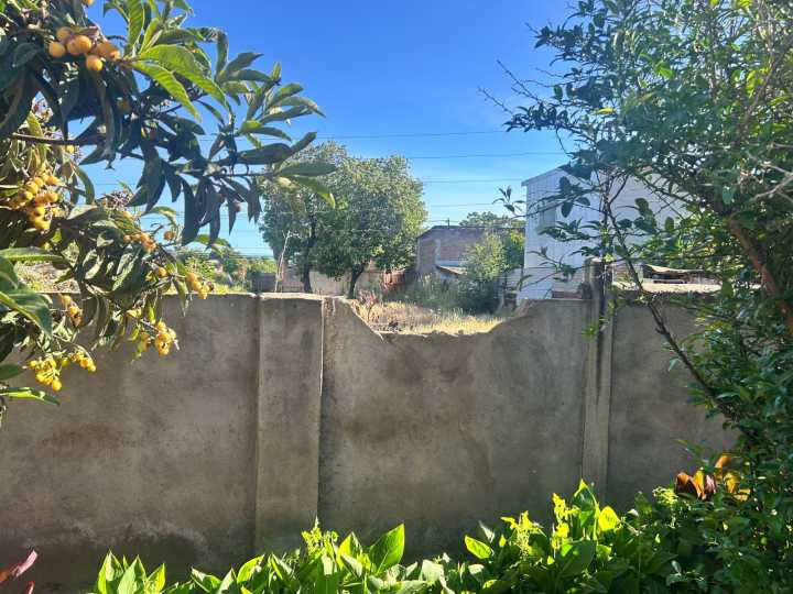 Denuncian robos reiterados a hogar de Fundación Las Rosas de Linares