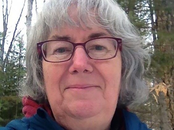 Climate Chat: A climate-friendly holiday | Kingston/Frontenac This Week