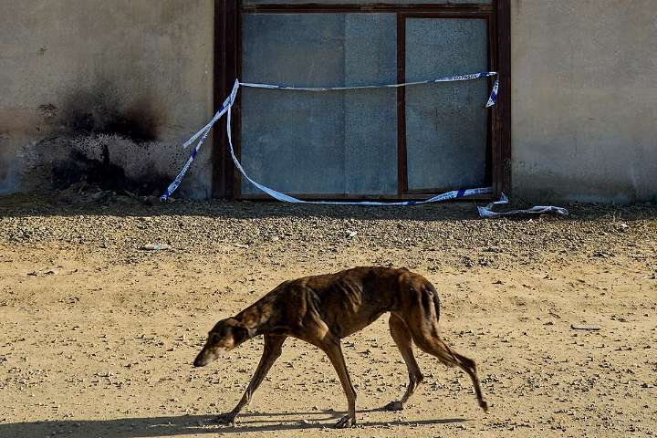 Villa Polvo, la guarida narco del Guadalquivir donde disparan a los policías con armas de guerra: "Nos buscaban y gritaban: ¡por ahí van los perros, mátalos!"