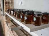 ALL ABUZZ WITH BEES: Former science teacher and her team host do-it-yourself workshops for beekeeping and other pursuits